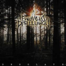 Engraved Disillusion : Desolate